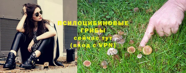 стафф Баксан
