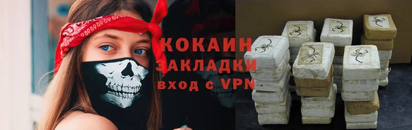 прущие грибы Балабаново