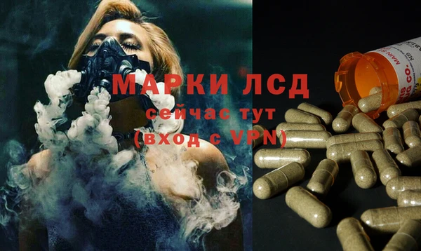 spice Балахна