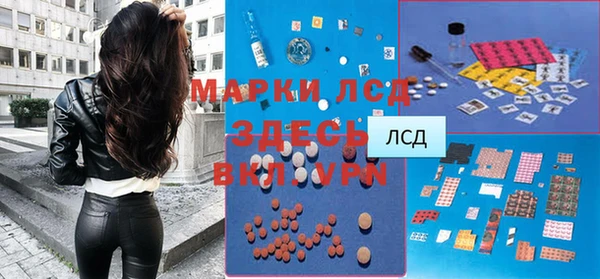 прущие грибы Балабаново