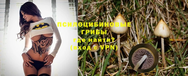 прущие грибы Балабаново