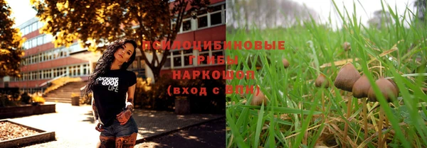 стафф Баксан
