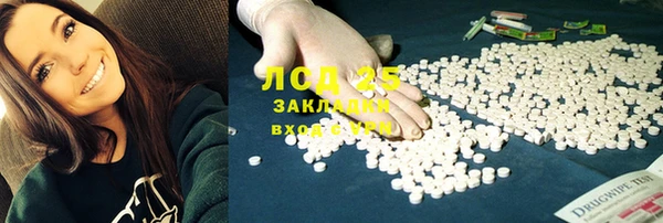 прущие грибы Балабаново