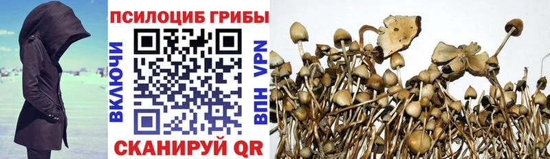 Псилоцибиновые грибы ЛСД хочу Верхний Тагил